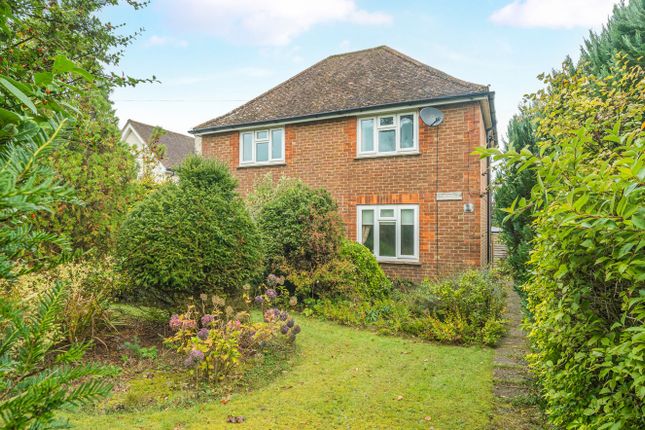 1360371-1-68De3Ab...