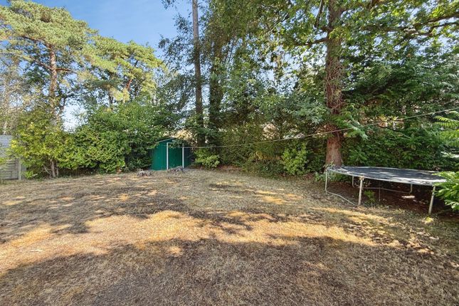 Birch Grove,, Lower Wokingham Road, Berkshire photo 4