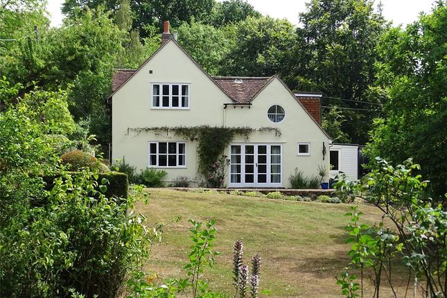 Thumbnail Detached house to rent in Brook Street, Edwardstone, Sudbury, Suffolk