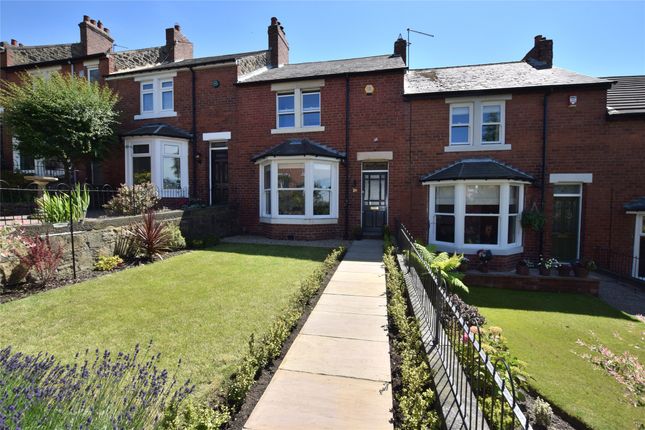 Thumbnail Terraced house to rent in Derwent Gardens, Low Fell