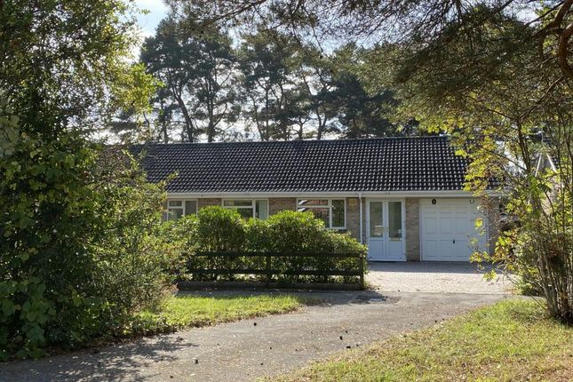 Thumbnail Detached bungalow for sale in Bracken Close, Ashley Heath, Ringwood