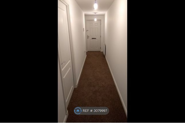 Park Road, Aberdeen photo 5