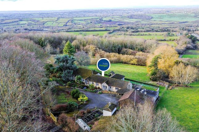 Cotswold Cottage, Lansdown Lane, Bristol photo 4