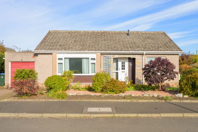 3, Oakdene Place, Scone photo 2