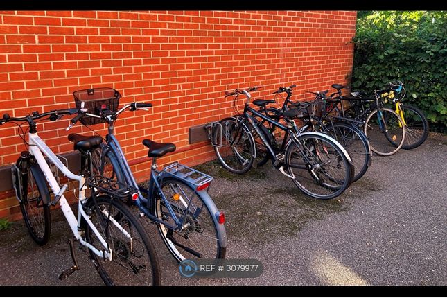 Cambridge photo 3