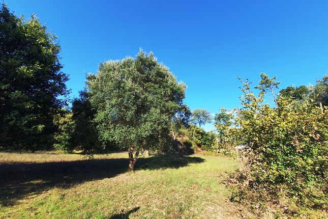 Country house for sale in Cortes, Alvares, Góis, Coimbra, Central Portugal