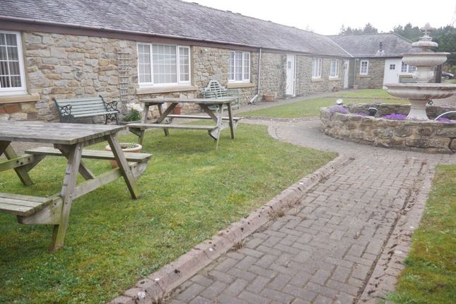 Commercial Property For Sale In Hadrian S Wall Country Cottages