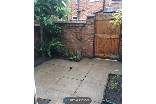 Courtyard Garden