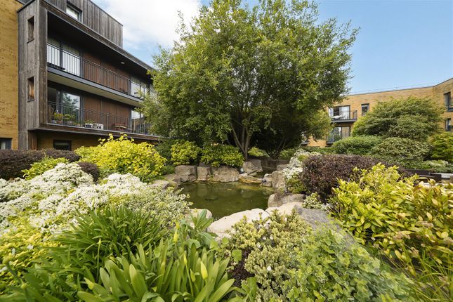 11 Johnson Court, 43 Meadowside - Au3m4Zjkxu5Jn9Iy