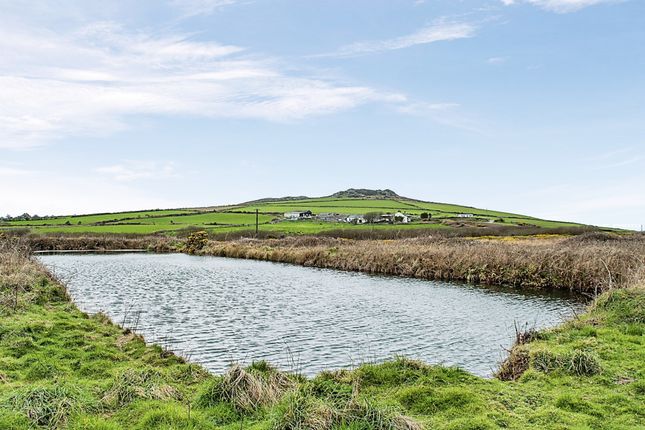 Barn conversion for sale in Llanferran Farm, Rhodiad, St Davids