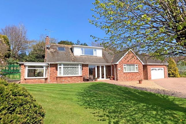 Thumbnail Detached bungalow for sale in Manor Road, Sidmouth