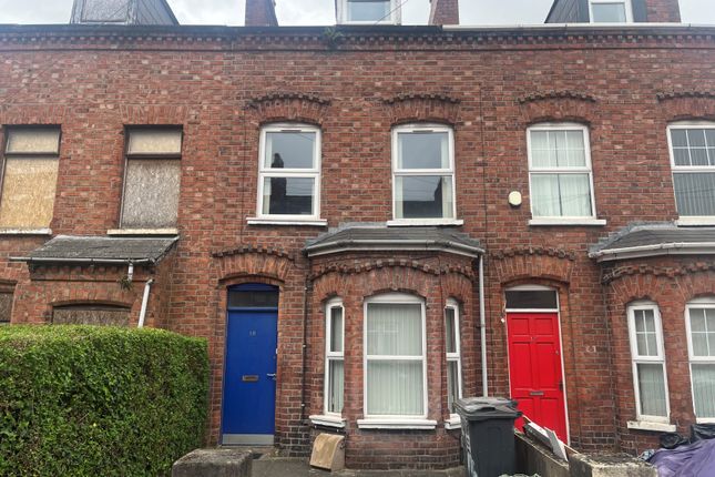Thumbnail Terraced house to rent in Meadowbank Street, Belfast