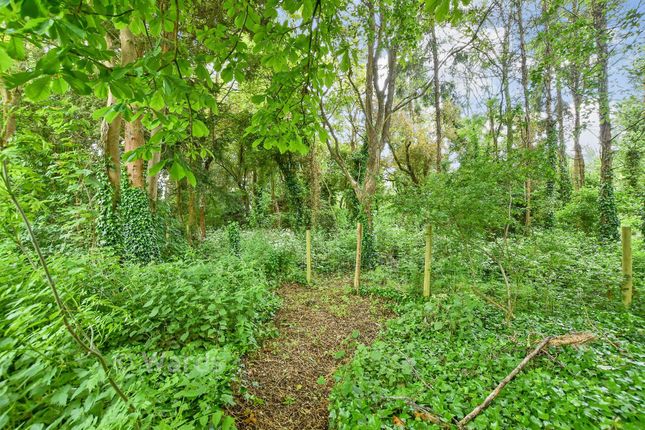 8, Gilletts Lane, West Malling photo 3