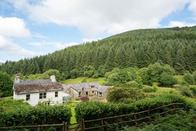 Crug Farm, Llanwrtyd Wells photo 4