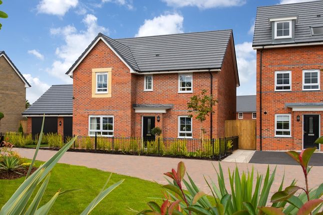 Thumbnail Detached house for sale in "Lamberton Special" at Park Farm Way, Wellingborough
