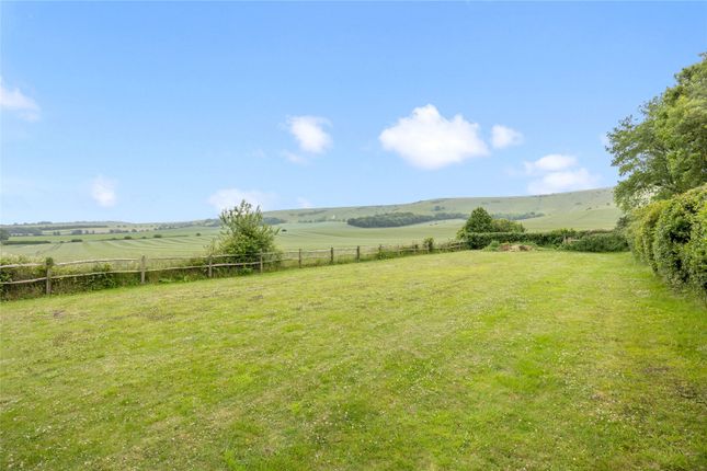 Paddock And View