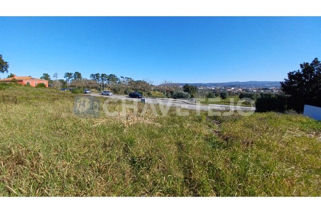 Thumbnail Land for sale in Tomar, Portugal