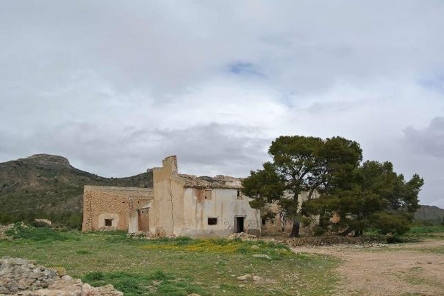 Land for sale in 30510 Yecla, Murcia, Spain