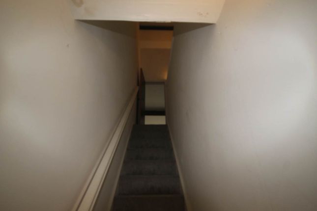 330, Conditioning House, Conditioning House photo 5