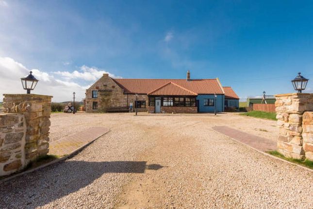Thumbnail Detached house for sale in The Plough On The Hill, Allerdean, Berwick-Upon-Tweed