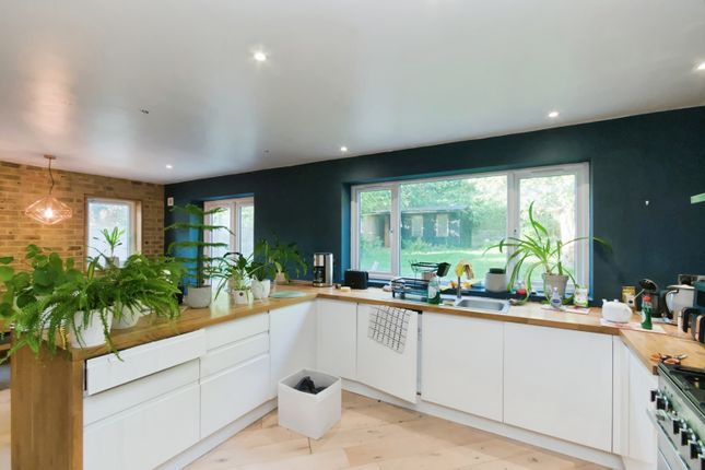 123, Whitehawk Road, East Sussex photo 4