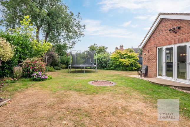 25, Mayton Avenue, Norwich photo 3