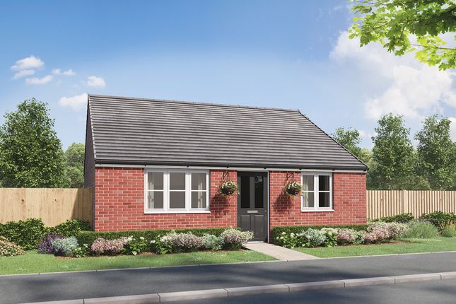 Thumbnail Bungalow for sale in "The Wentwood" at Coxhoe, Durham