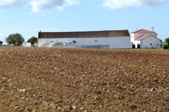 Thumbnail Land for sale in Agricultural Land With Fertile Soil, Coruche, Fajarda E Erra, Coruche, Santarém, Central Portugal