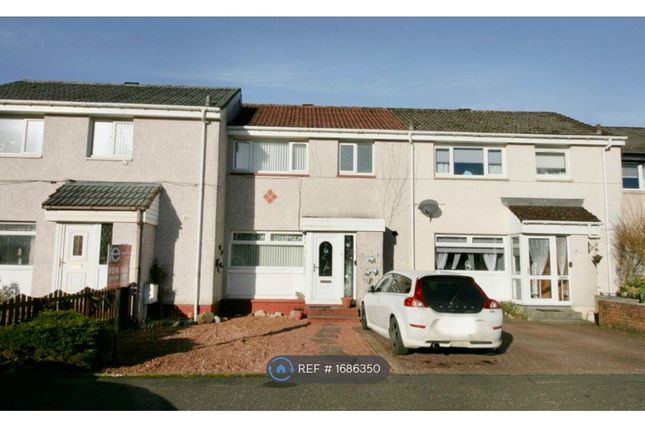 Thumbnail Terraced house to rent in Denholm Drive, Wishaw