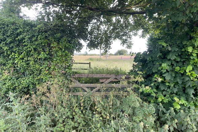 Plot 2, Farlesthorpe Road, Alford photo 3