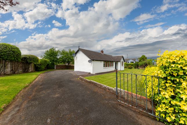 Thumbnail Bungalow for sale in 1 Ballymaconnell Road South, Bangor, County Down