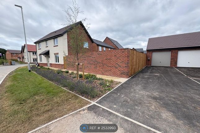 Double Parking Next To House