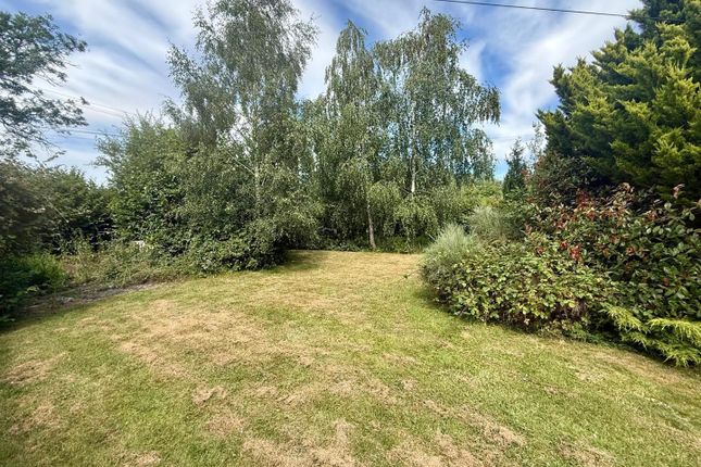 Rosedale, Clehonger, Hereford photo 2