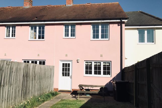 Semi-detached house to rent in Bolsin Drive, Colchester