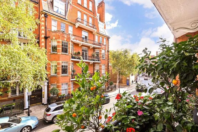 Ashley Gardens, Emery Hill Street, London photo 2