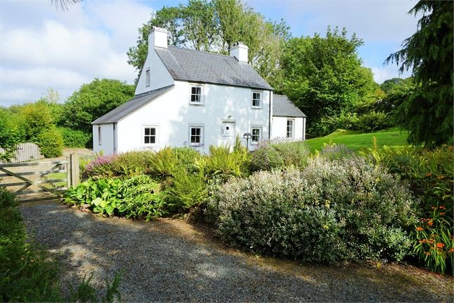 Homes For Sale In Newport Pembrokeshire Buy Property In Newport