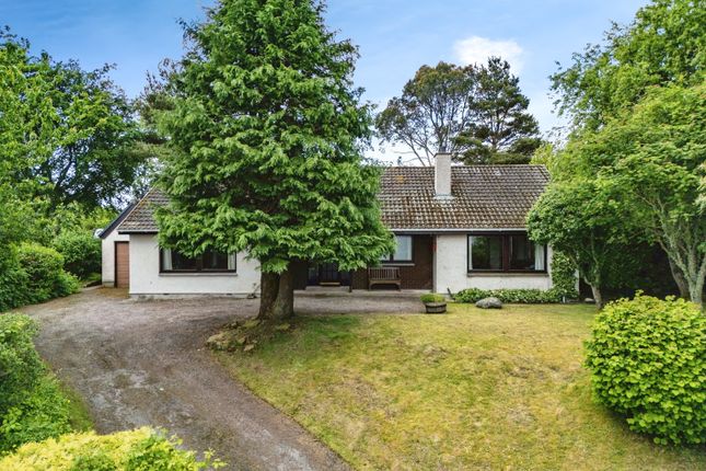 Thumbnail Detached bungalow for sale in Balblair, Dingwall