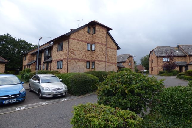 Flat to rent in St Margarets Road, Chelmsford