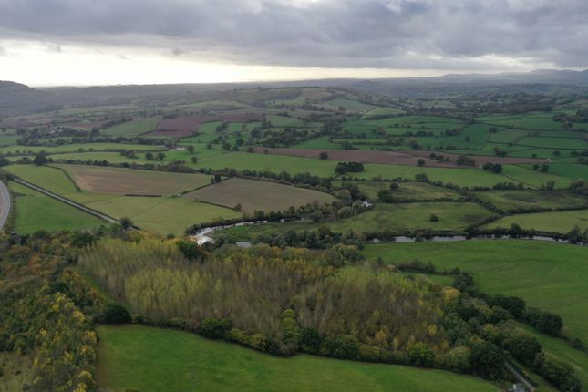 Land for sale in Llantrisant, Usk, Monmouthshire