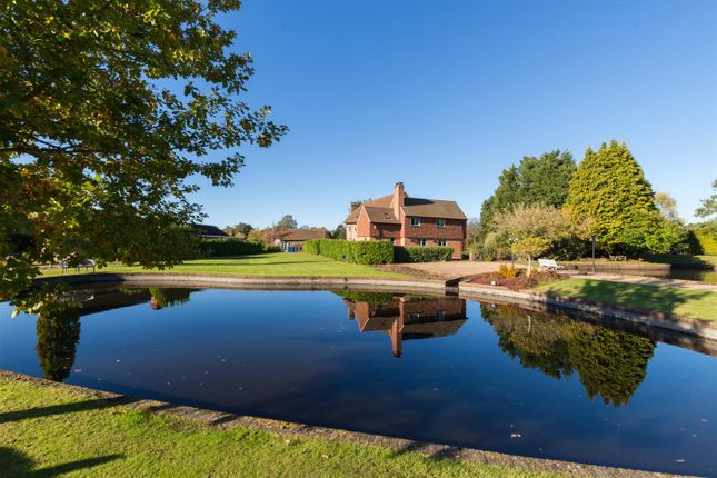 Barnet Farm, Norley Lane - Edited (23).Jpg