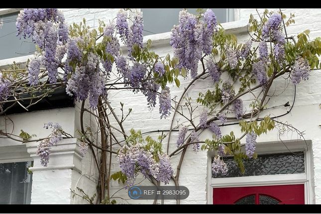 Meadow Road, London photo 3