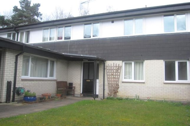 Thumbnail Terraced house to rent in Epsom Close, Camberley