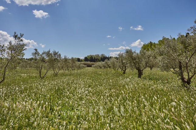 Detached house for sale in Saint-Rémy-De-Provence, 13210, France