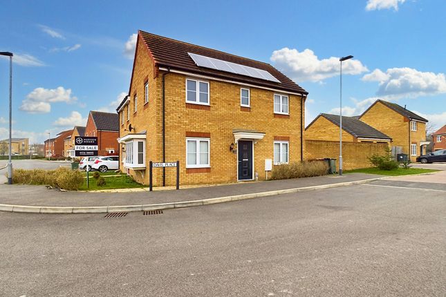 Thumbnail Semi-detached house for sale in Davis Place, Hempsted, Peterborough