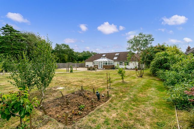 Meadow View, Highground Lane, Barnham photo 4