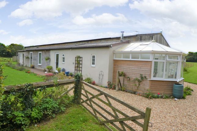 Homes For Sale In Sidbury Devon Buy Property In Sidbury Devon