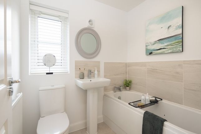 The Hopton, Plot 19, Henley Gate, Ipswich photo 3