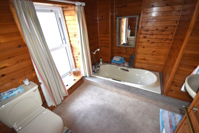 No 9, Teras Cambrian Terrace, Llandysul photo 3