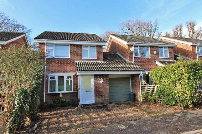 Link-detached house for sale in Stanford Rise, Sway, Lymington, Hampshire