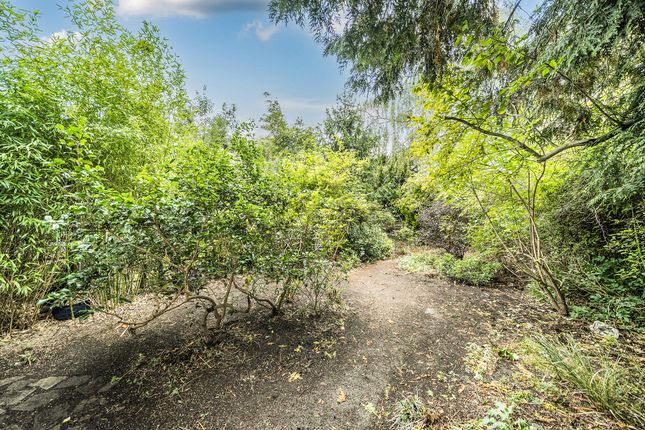 Erskine Hill, Erskine Hill, Hampstead Garden Suburb photo 5